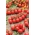 Cherry ντομάτα "Cherrola" - για τον κήπο και την καλλιέργεια της σήραγγας - 20 σπόρους - Lycopersicon esculentum Mill.  - σπόροι