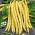 Жути француски пасуљ "Нецкарголд" - треба урезивање - 20 семена - Phaseolus vulgaris L.