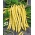 Žltá francúzska fazuľa "Neckargold" - potrebuje stake - 20 semien - Phaseolus vulgaris L. - semená