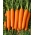Carrot "Nantaise 2" - medium early - 3825 seeds