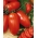 Tomat "Keuntungan" - Lycopersicon esculentum Mill  - biji