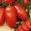Tomate - Zyska - Lycopersicon esculentum Mill  - sementes