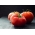 Tomate - Raspberry Ozarowski - semillas tratadas -  Lycopersicum esculentum