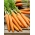 Морков "Берликумер 2 - Съвършенство" - късен сорт - Daucus carota