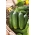 Cucumber "Aston F1" - parthenocarpic variety for cultivation under covers