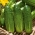 きゅうり「エドマーF1」 - 畑での栽培と温室栽培のための酸洗い、苦味のない品種 -  105種子 - Cucumis sativus - シーズ