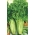 Celer Nugget semena - Apium graveolens - 360 semen
