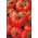 الطماطم "Marmande" - الحلو واللحوم - 200 البذور - Lycopersicon esculentum Mill  - ابذرة