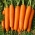 BIO Carrot "Nantaise 2" - benih organik bersertifikat - 
