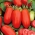 گوجه فرنگی بلند "S. مارزانو 3 '- پرفروش مدیترانه ای -  Lycopersicon esculentum - S. Marzano 3 - دانه