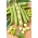 Broad bean "Bonus" - varietas menengah-awal - Vicia faba L. - biji