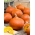 BIO Squash gigant „Uchiki Kuri” - semințe organice certificate - 