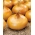 Κρεμμύδι "Borettana" - για ψήσιμο και μαρινάρισμα - Allium cepa L. - σπόροι