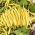 Cüce Fransız sarı fasulye "Altın Pantera" - Phaseolus vulgaris L. - tohumlar