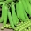 Карликовий горох "Примавіл" - ранній сорт - Pisum sativum - насіння