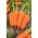 胡萝卜“Askona F1” - 晚期，光滑的品种不会破碎 -  4250粒种子 - Daucus carota ssp. sativus  - 種子
