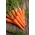 गाजर "रूंबा" - मध्यम जल्दी, मीठा, विशद नारंगी किस्म - 2550 बीज - 