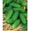 Cucumber "Aladyn F1" - field, pickling variety - 110 seeds