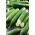 Okurka "Gracius F1" - polní odrůda pro saláty - 175 semen - Cucumis sativus - semena