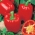 Pepper "Jolanta"- 크고, 빨갛고, 수분이 많은 과일을 생산하는 중간 종류의 초기 품종. - Capsicum L. - 씨앗