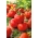 टमाटर "एपिस" - गोल, दृढ़ फल के साथ क्षेत्र की विविधता - 66 बीज - 