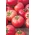 Raspberry-type tomato "Berner Rose" - dwarf variety for field and under cover cultivation