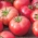 Malina tipa paradajz "Berner Rose" - patuljasta sorta za uzgoj u polju i pod pokrovom - Lycopersicon esculentum Mill  - sjemenke