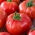 Tomato "Big League" - dwarf variety for cultivation in the field and under covers - 15 seeds