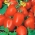 Pomidoras - Frodo - Lycopersicon esculentum Mill  - sėklos