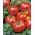 Tomato "Penduline Tits F1" - for greenhouse and under cover cultivation