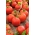 گوجه فرنگی "Szach" - انواع مزرعه تولید میوه به طور منظم شکل گرفته است - Lycopersicon esculentum Mill  - دانه