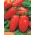 BIO - گوجه فرنگی گلخانه ای "Marzano 2" - گواهی دانه های گواهی شده - 225 دانه - Lycopersicum esculentum 