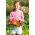 Happy Garden - "Colourful Garden Nasturtium" - Seeds that children can grow! - 24 seeds
