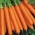 गाजर "नान्टेस 3" - मध्यम-प्रारंभिक किस्म - 4250 बीज - 