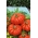 Полевой помидор "Costoluto fiorentino" - ребристый фрукт - 