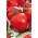 Tarla domatesi "Herodes" - çeşitli meyveler - Lycopersicon esculentum Mill  - tohumlar