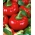 Paprika "Dumas" - červená a sladká - Capsicum L. - semená