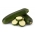 Courgette "Black Beauty" - 100 g; courgette - 