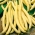Жовта французька квасоля "Полька" - 125 насінин - Phaseolus vulgaris L. - насіння