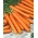Valgomosios morkos - Autumn King 2 - 3825 sėklos - Daucus carota