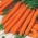 Carrot "Eskimo F1" - late variety