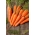 Morcov "Nantes 3" - soi mediu timpuriu - SEED TAPE - Daucus carota ssp. sativus  - semințe