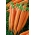 Carrot Kamila F1 + Bandă de semințe de iarbă - 2 în 1 - Raphanus sativus 