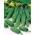 Concombre - Aloe F1 - Cucumis sativus - graines