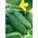 Cucumber "Osiris F1" - strong growth and long vegetation period - 175 seeds