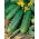 Cucumber "Tarot F1" - field variety yielding early rich crops - 175 seeds