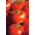 Tomato "Ondraszek" - field variety for preserves and direct consumption