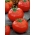 Cà chua "Pedro" - cho nhà kính và canh tác che phủ, có thể lưu trữ - Lycopersicon esculentum  - hạt