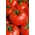 Tomato "Flame" - câmp, mediu timpuriu, varietate în creștere rapidă - Lycopersicon esculentum - semințe