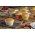 Marco para hornear magdalenas y muffins - para 24 moldes - mezcla de colores - 20 piezas - 